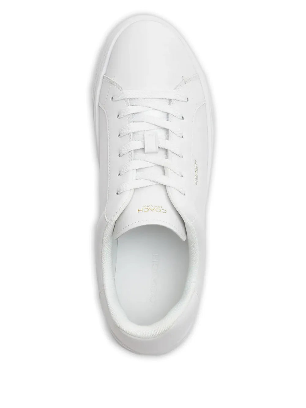Coach High Line — White — Size US M 3.5 - US W 5 — Top View